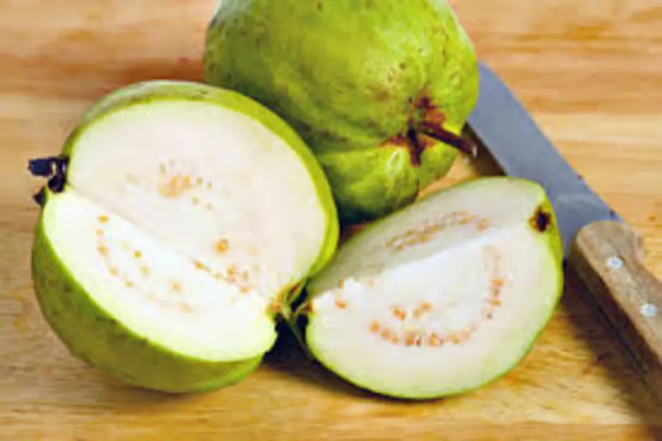 Công dụng và những điều cần chú ý khi ăn ổi không phải ai cũng biết