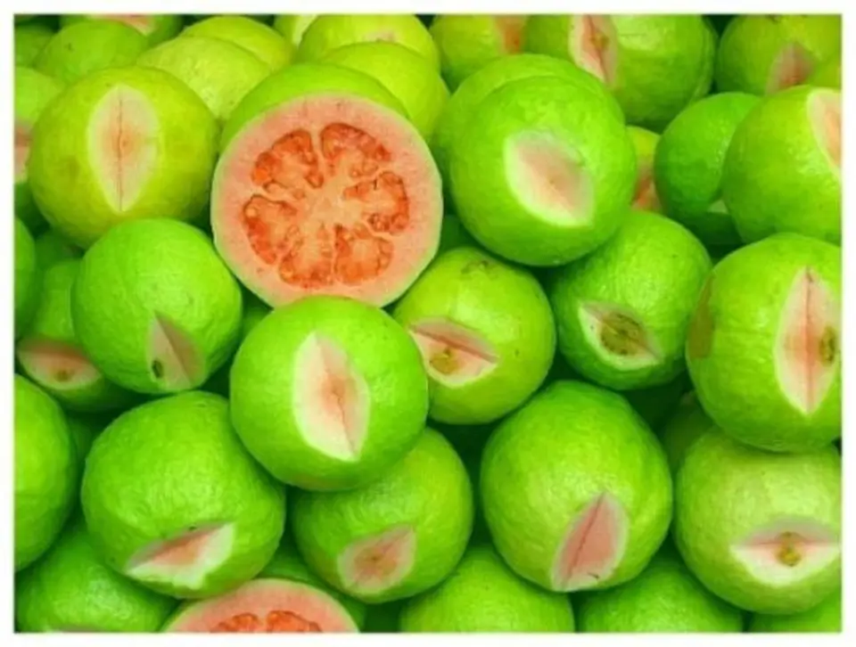 Công dụng và những điều cần chú ý khi ăn ổi không phải ai cũng biết