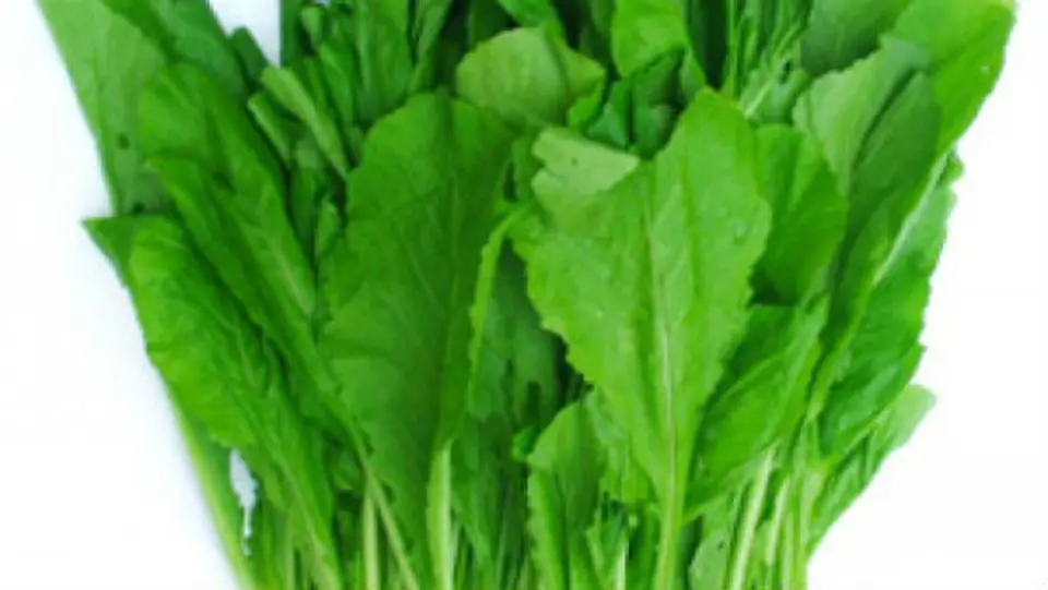 Công thức nấu canh cải xanh thịt bằm