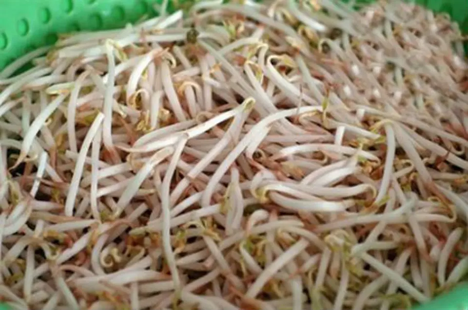Giảm cân với giá hẹ xào đậu hũ Giảm cân với giá hẹ xào đậu hũ