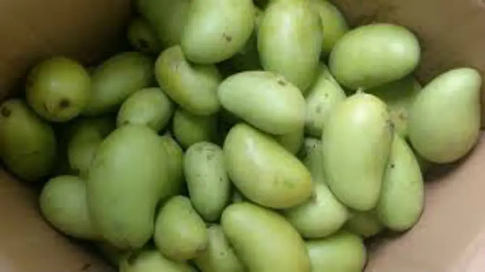 Học làm xoài ngâm chua ngọt với các bước đơn giản