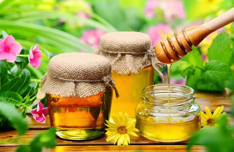 Hướng dẫn bạn cách phân biệt mật ong thật và mật ong giả