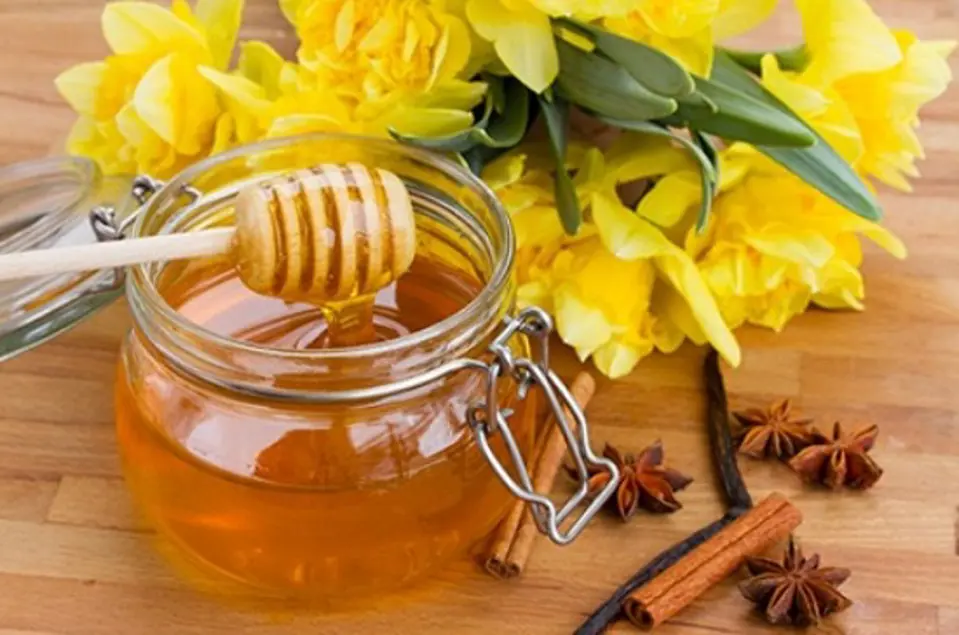 Hướng dẫn bạn cách phân biệt mật ong thật và mật ong giả