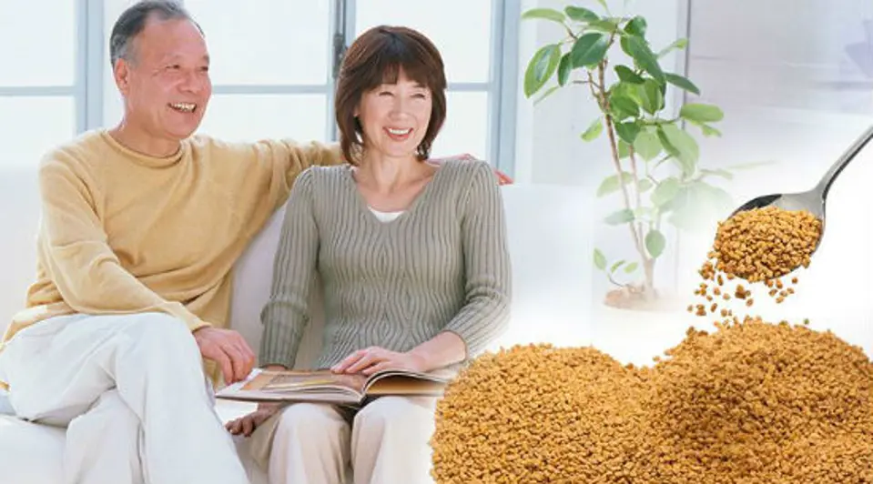 Mách bạn những công dụng tuyệt vời của hạt methi