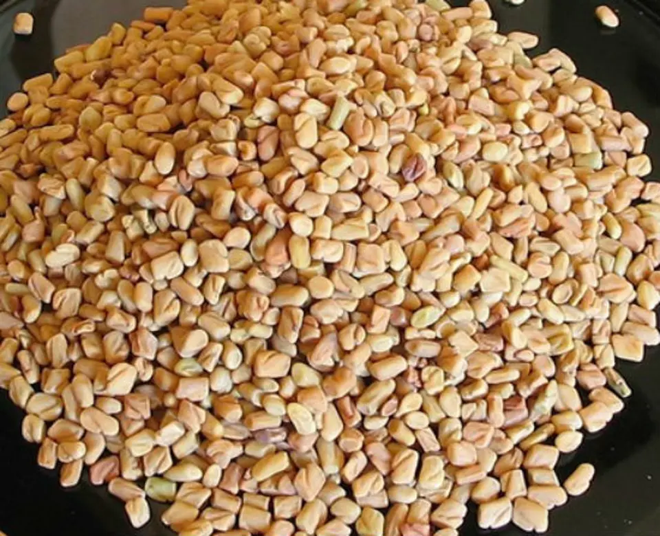 Mách bạn những công dụng tuyệt vời của hạt methi
