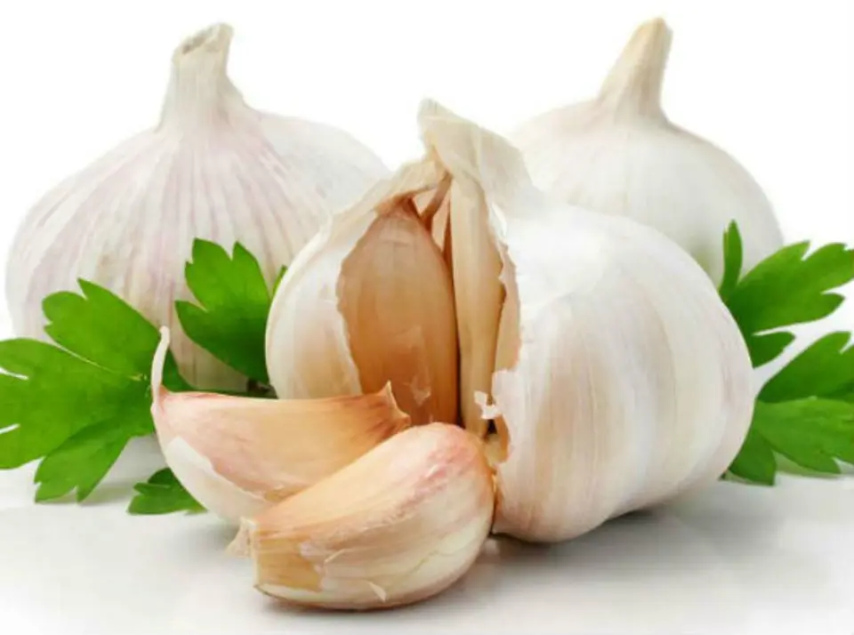Mẹo đuổi muỗi từ nguyên liệu tự nhiên cực hay