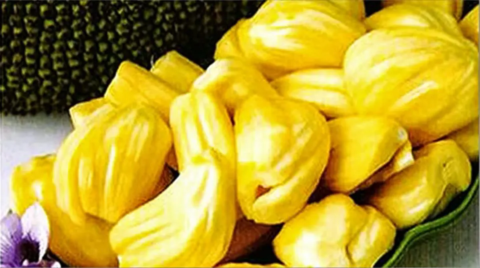 Những loại thực phẩm bà bầu nên tránh khi mang thai