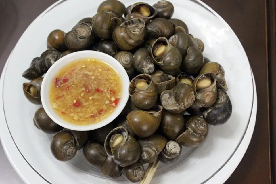 Những quán ốc ngon nhất Hà Nội
