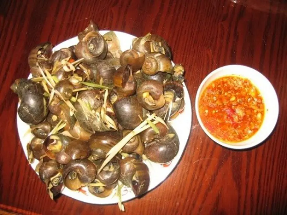 Những quán ốc ngon nhất Hà Nội Những quán ốc ngon nhất Hà Nội