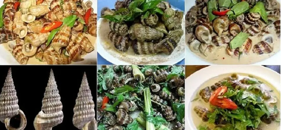 Những quán ốc ngon ở Sài Gòn Những quán ốc ngon ở Sài Gòn
