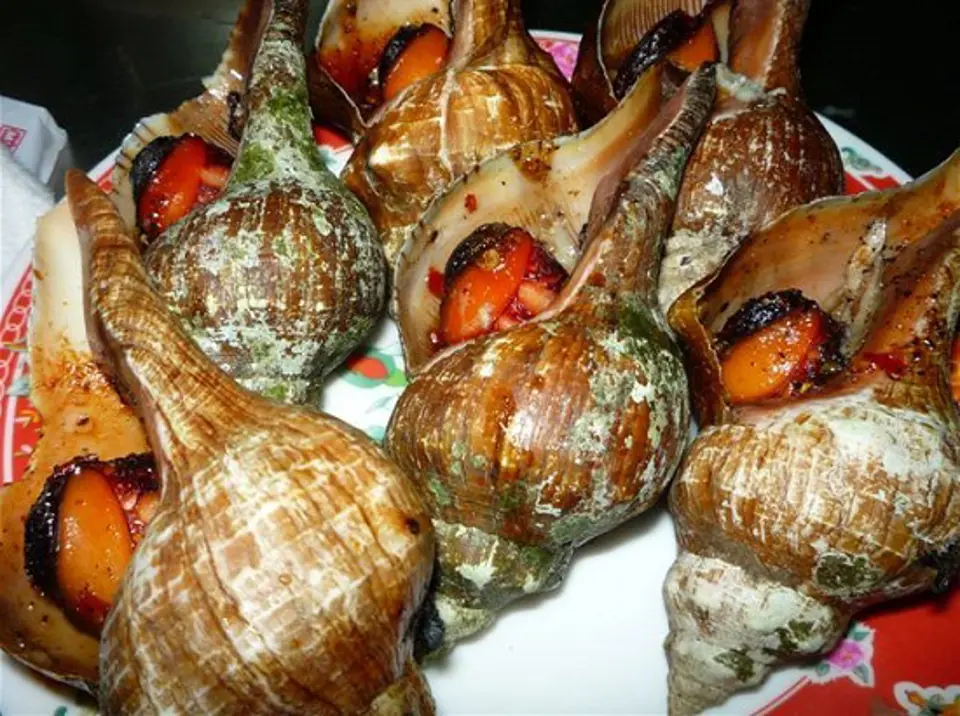 Những quán ốc ngon ở Sài Gòn Những quán ốc ngon ở Sài Gòn