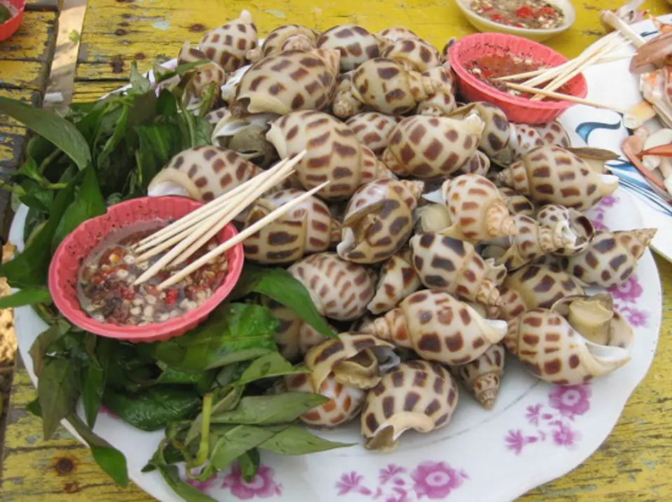 Những quán ốc ngon ở Sài Gòn Những quán ốc ngon ở Sài Gòn