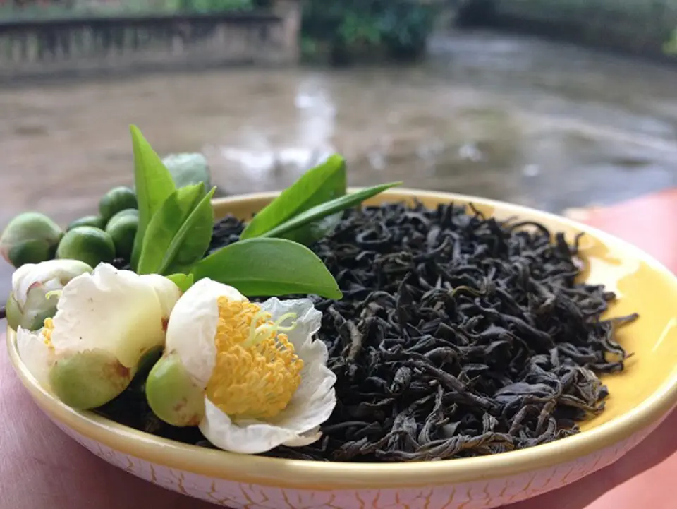 Tác dụng của chè xanh chữa trị một số bệnh thông thường