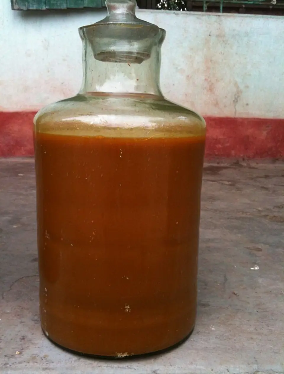 Tác dụng của gừng khi ngâm với rượu
