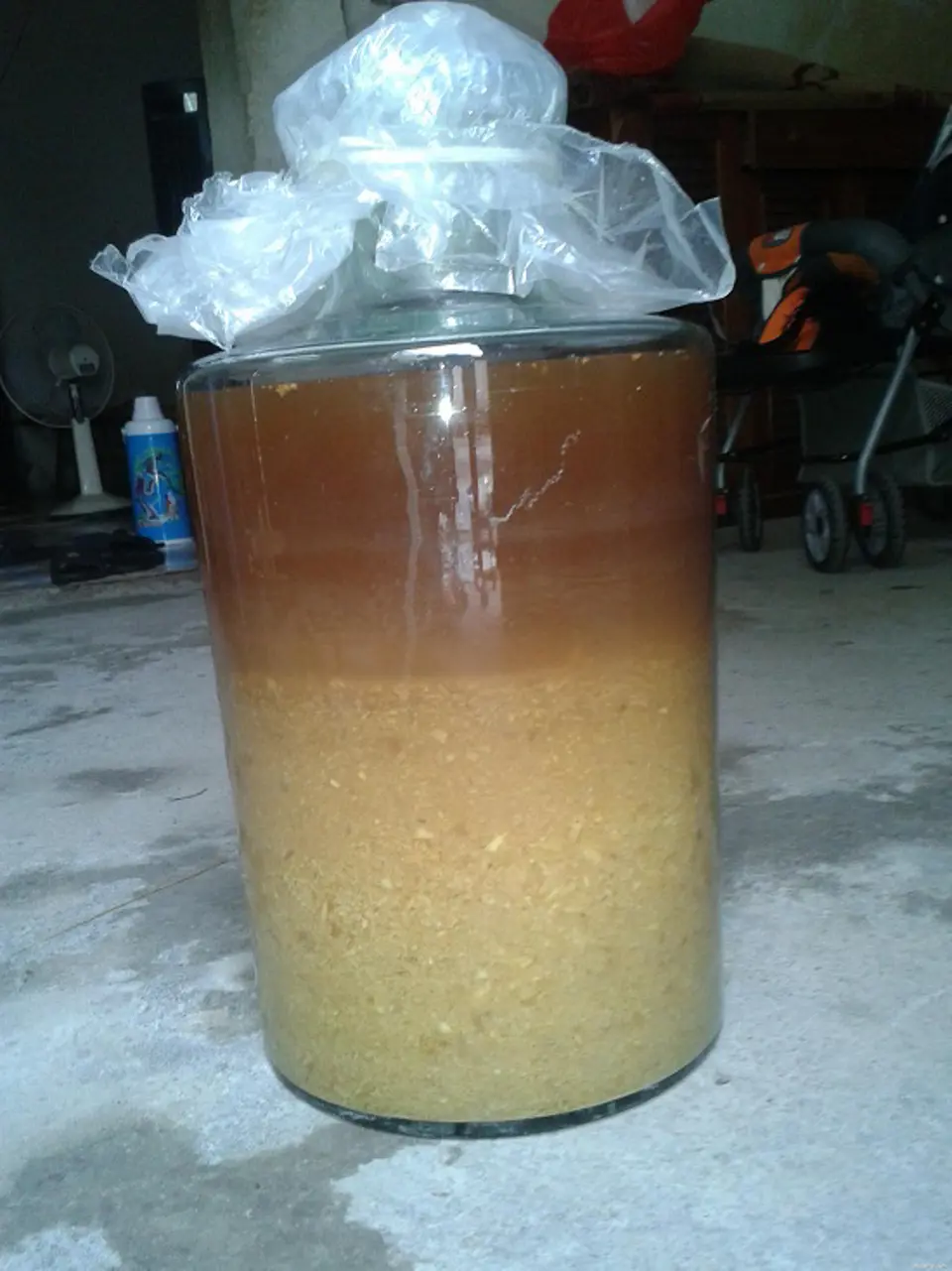 Tác dụng của gừng khi ngâm với rượu