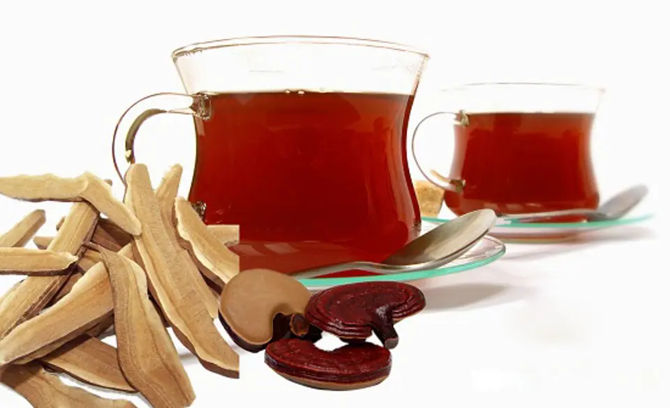 Tác dụng của nấm linh chi với chị em phụ nữ