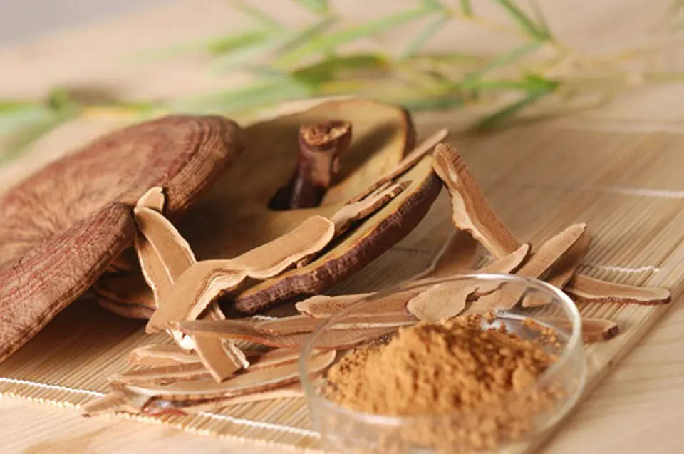 Tác dụng của nấm linh chi với chị em phụ nữ