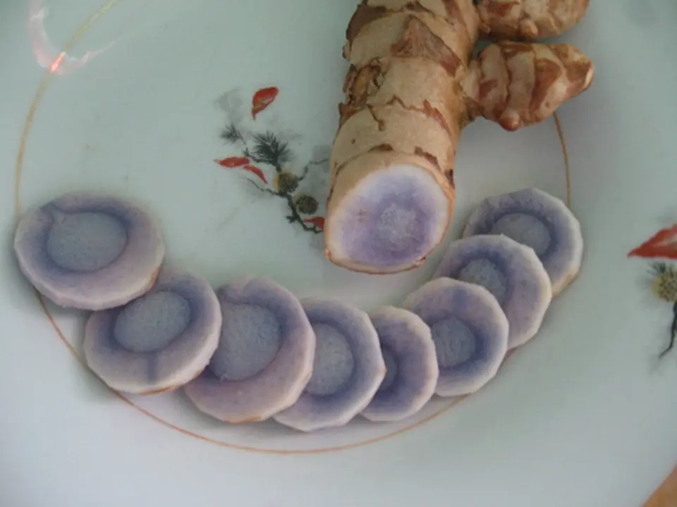 Tác dụng của nghệ đen chữa trị các bệnh thường gặp