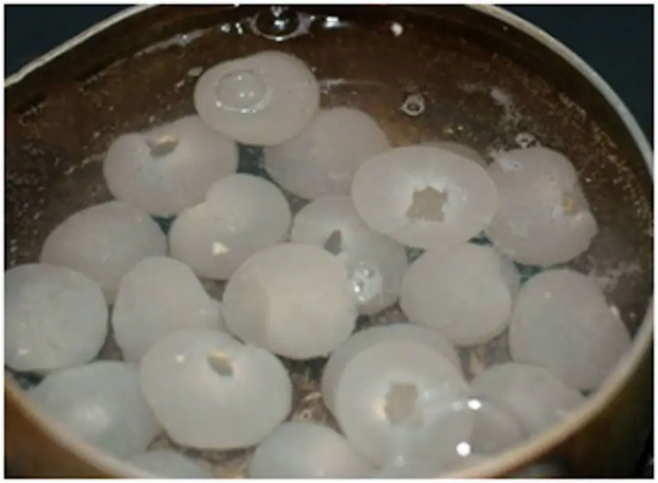 Các bước làm chè khúc bạch đơn giản để thưởng thức trong mùa hè Các bước làm chè khúc bạch đơn giản để thưởng thức trong mùa hè