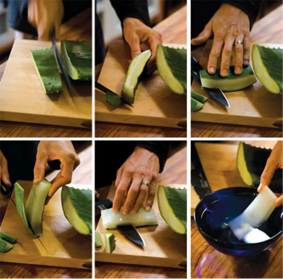 Cách chế biến nha đam giòn mà không nhớt