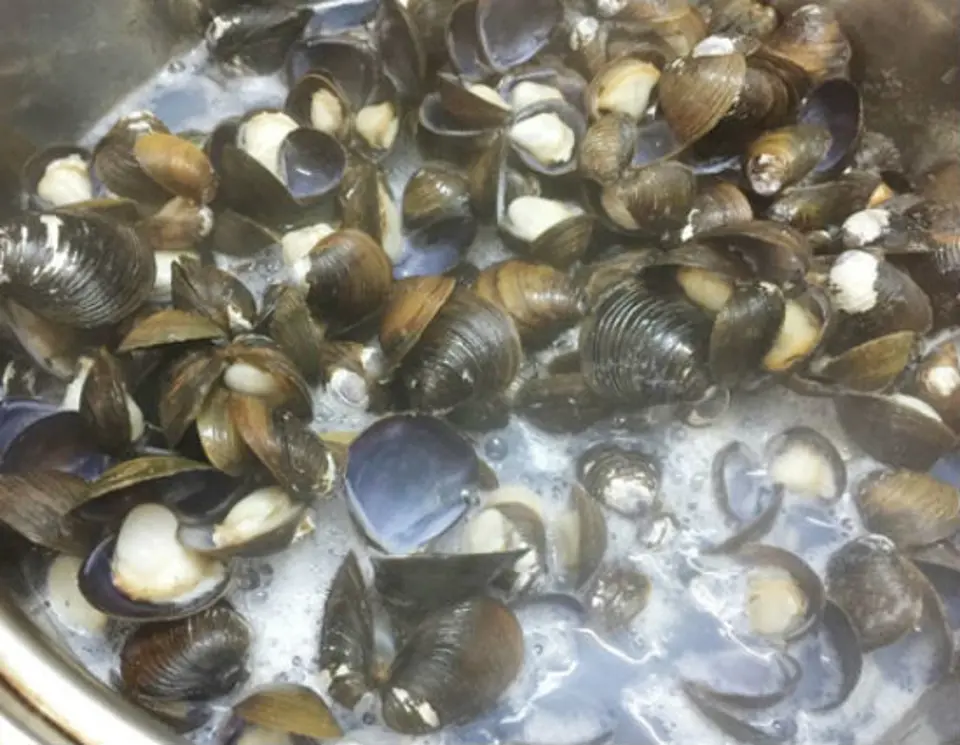 Cách làm món canh hến nấu chua Cách làm món canh hến nấu chua