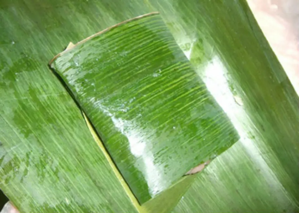 Cách làm nem chua cực ngon tại nhà