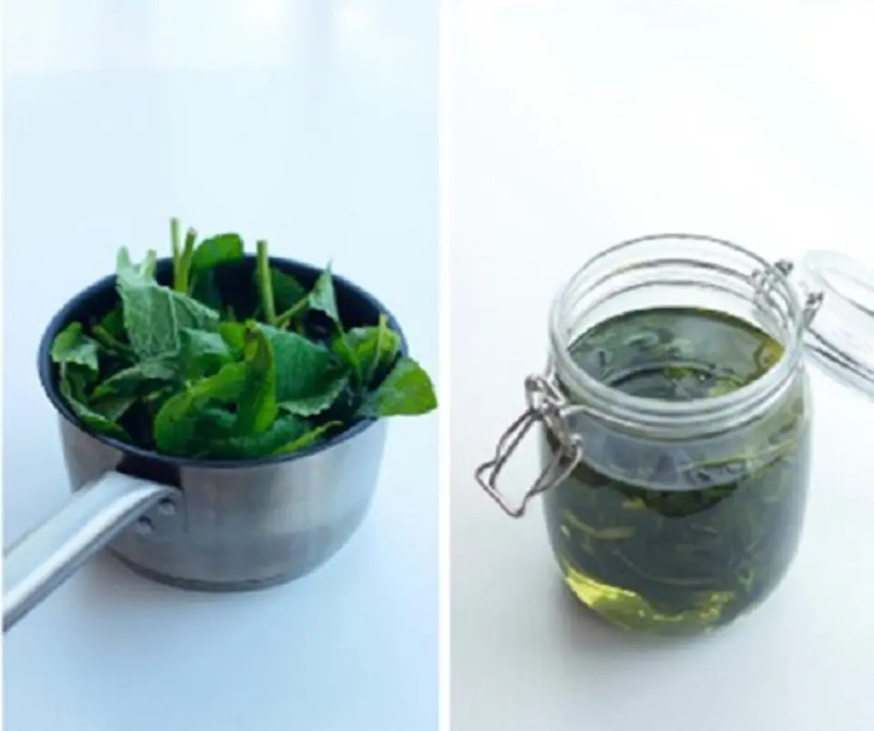 Cách làm trà vải bạc hà mát lạnh xua tan nóng bức