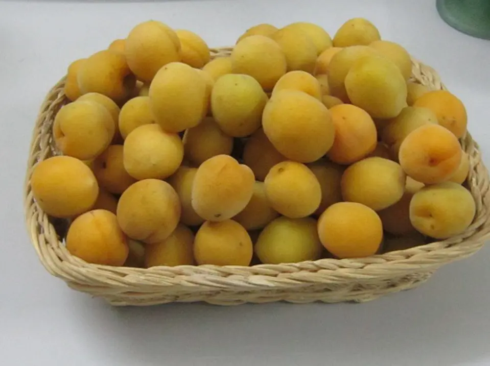 Cách ngâm quả mơ với đường đơn giản