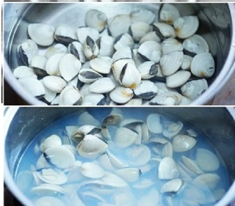 Công thức món canh ngọn bí nấu hến lạ miệng, thanh nhiệt