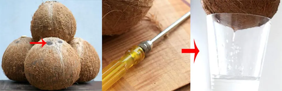 Cùng làm nước cốt dừa tại nhà