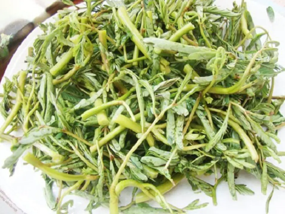 Học cách nấu món vịt om sấu ngon nhất đãi cả nhà