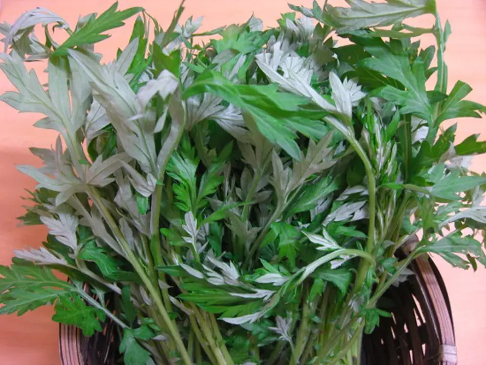 Những loại thực phẩm tối kị dễ gây sảy thai cho bà bầu