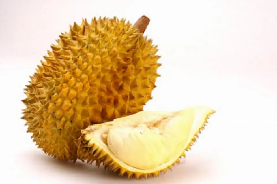 Bí quyết chọn sầu riêng ngon ngọt mà không bị sượng