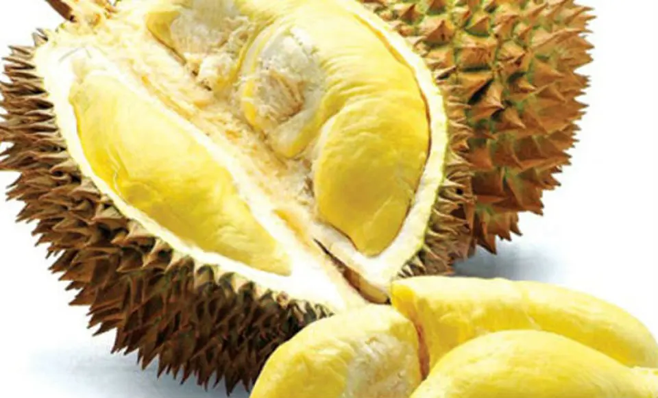 Bí quyết chọn sầu riêng ngon ngọt mà không bị sượng