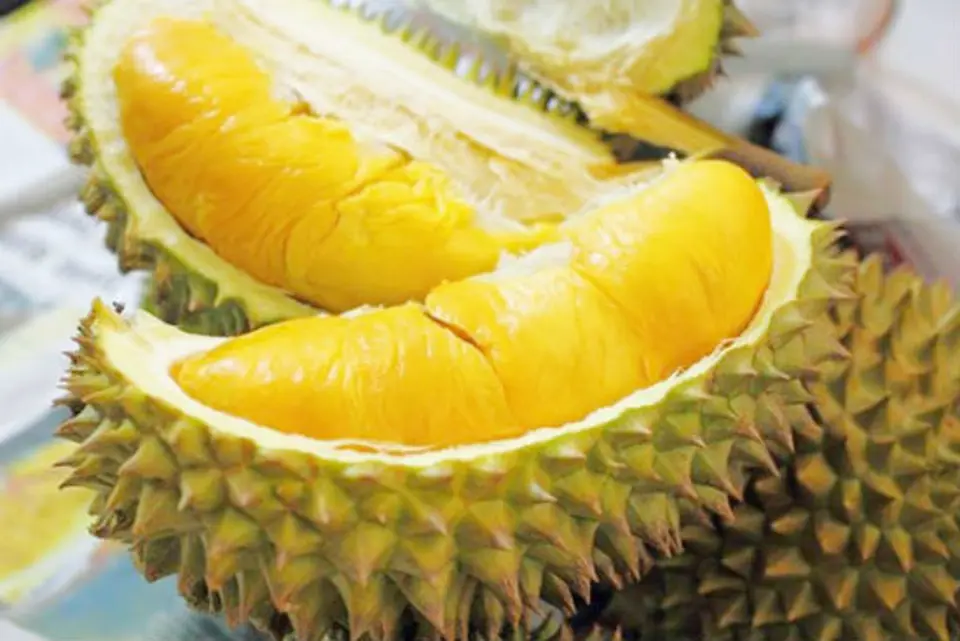 Bí quyết chọn sầu riêng ngon ngọt mà không bị sượng