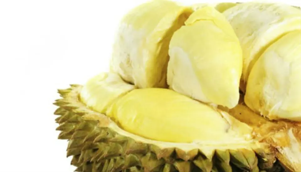 Bí quyết chọn sầu riêng ngon ngọt mà không bị sượng