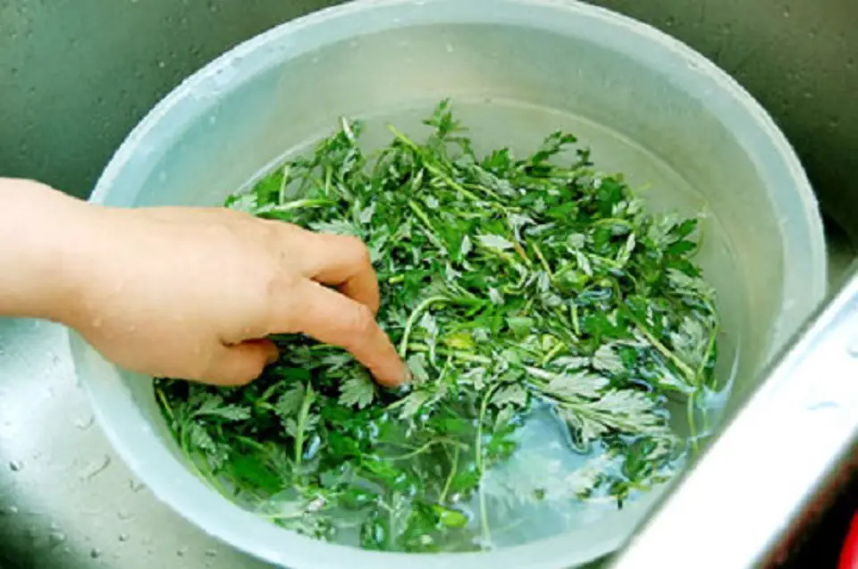 Bổ dưỡng với công thức gà tần thuốc bắc siêu đơn giản Bổ dưỡng với công thức gà tần thuốc bắc siêu đơn giản