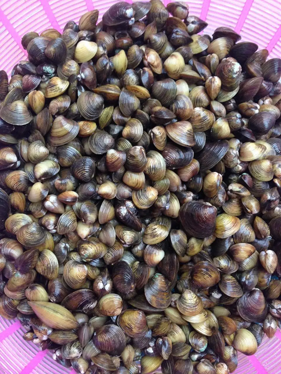 Cách làm canh hến nấu mướp ngọt mát cho ngày hè