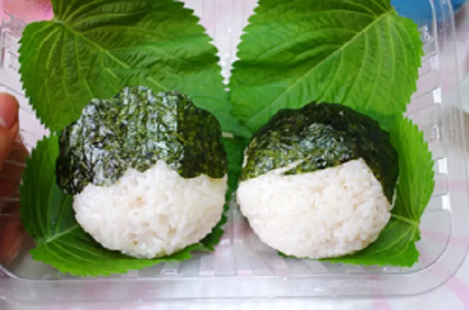Cách làm cơm hộp bento uyên ương đơn giản cho ngày lễ tình nhân