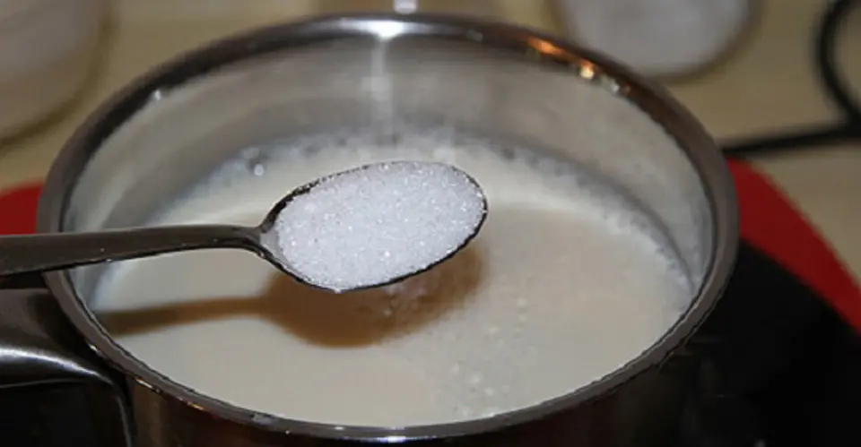Cách làm pudding đậu nành thanh mát