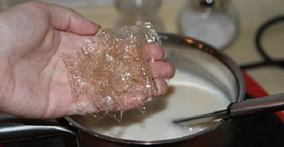 Cách làm pudding đậu nành thanh mát