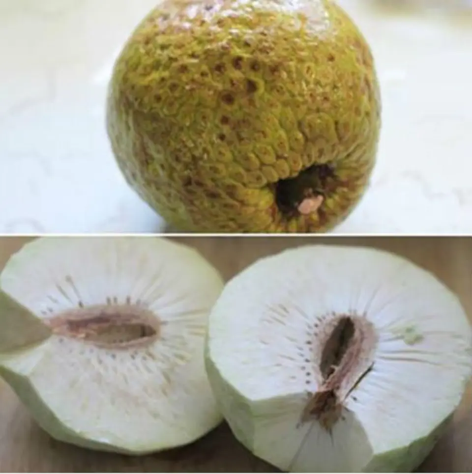 Cách làm sườn non ninh sa kê ngon mê li
