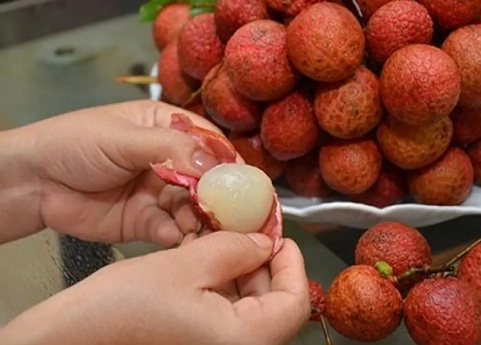 Cách làm trà vải đơn giản ngọt mát cho mùa hè Cách làm trà vải đơn giản ngọt mát cho mùa hè