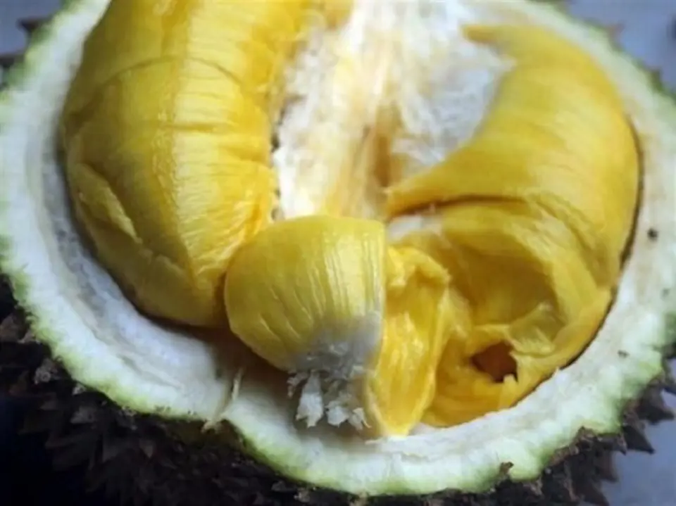 Công thức làm bánh sầu riêng chiên