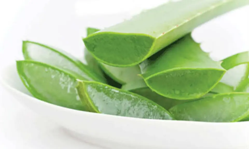 Mẹo chế biến nha đam giòn ngon mà không bị đắng