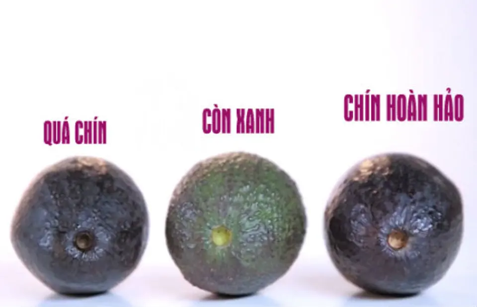 Mẹo nhỏ giúp bạn chọn được quả bơ ngon Mẹo nhỏ giúp bạn chọn được quả bơ ngon