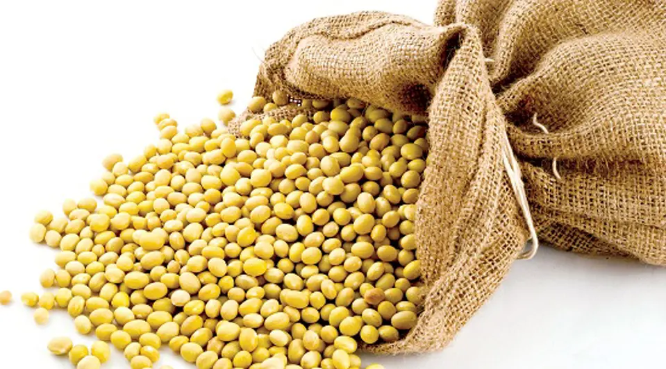 Thực phẩm giàu vitamin E – giải pháp tuyệt vời cho làn da đẹp