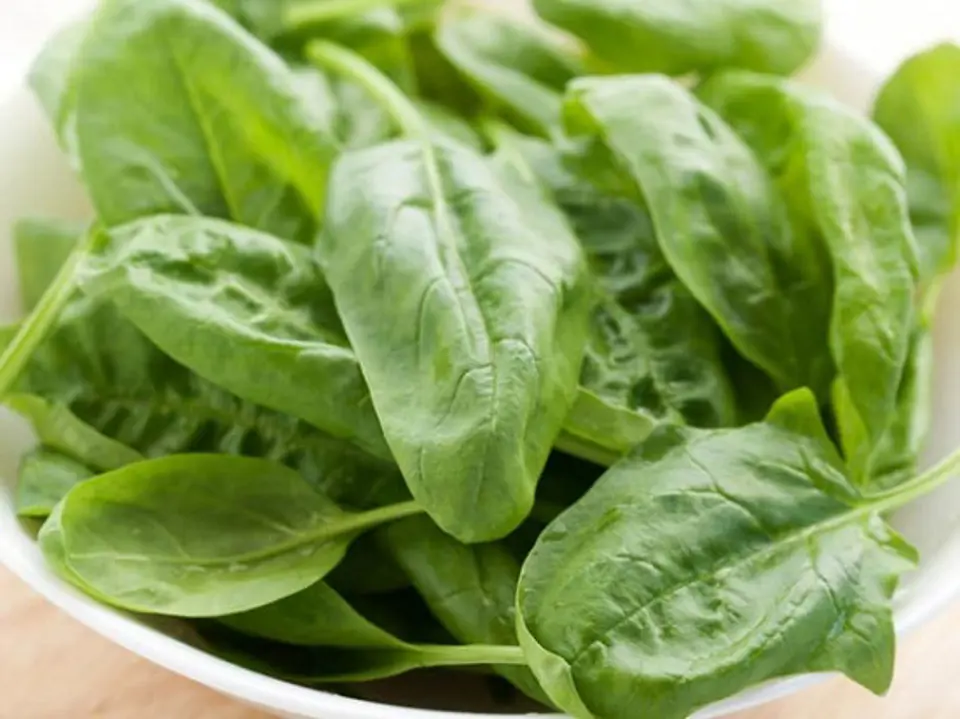 Thực phẩm giàu vitamin E – giải pháp tuyệt vời cho làn da đẹp