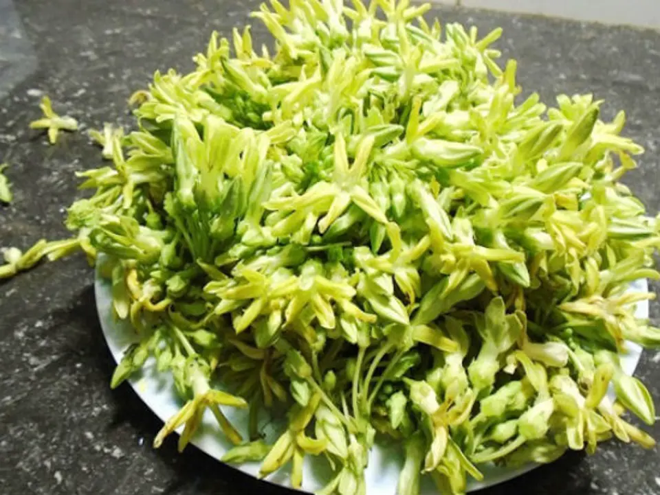 Thưởng thức món ngon mỗi ngày với canh cua nấu thiên lý