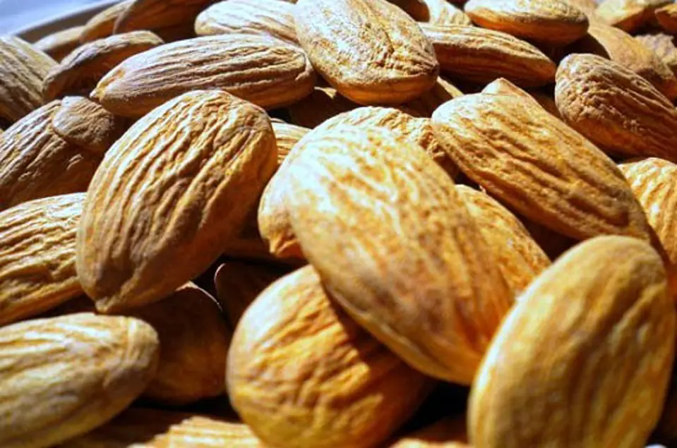 “ Top” những thực phẩm giàu vitamin E “ Top” những thực phẩm giàu vitamin E